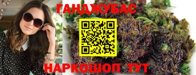 дмт Гатчина