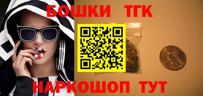 дмт Гатчина