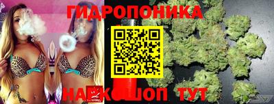 apvp Гай