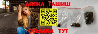 дмт Гатчина