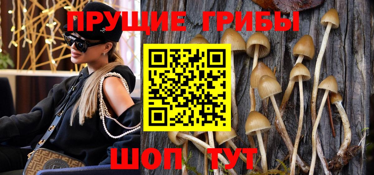 Галлюциногенные грибы прущие грибы  Вход с VPN  продажа наркотиков  Вязьма  Галлюциногенные грибы Psilocybine cubensis 