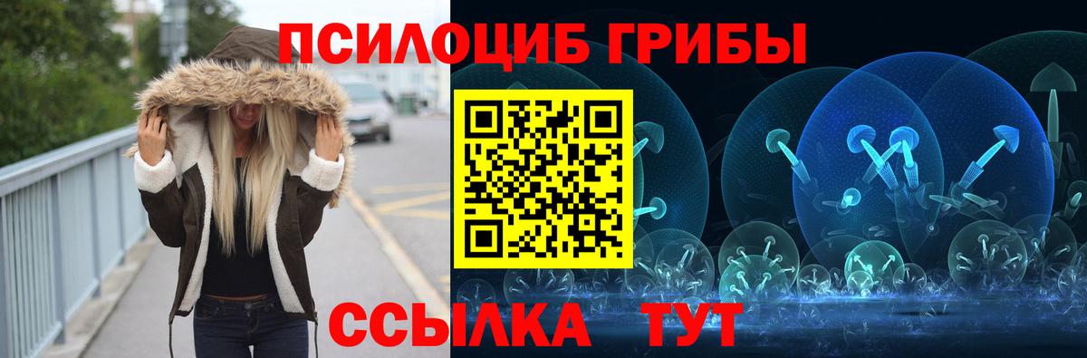 Псилоцибиновые грибы прущие грибы Вязьма
